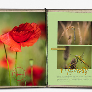 20-06_Soco_MemoriesVol3_DP-marijke