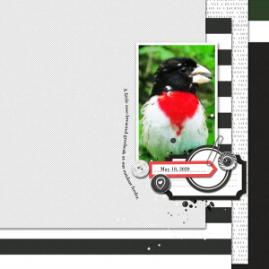 Sahin-Designs_2020-06_June_Blog-Challenge_web
