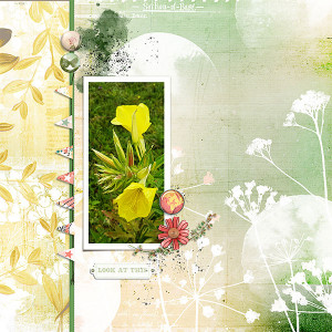 Lynn Grieveson Designs Template Challenge June