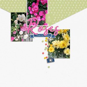 Roses