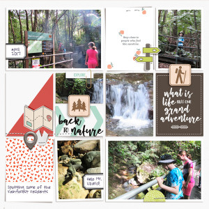 pocket nature walk