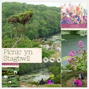 Stagbwll
