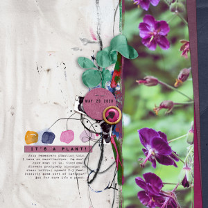 Rachel-Jefferies_2020-06_June_New_0626_M3-June-2020-Add-Ons_Flower_web