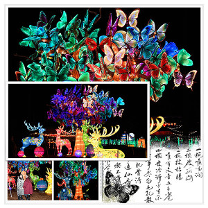 Chinese Lantern Festival 4