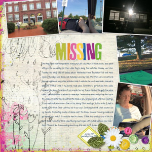 06journal-missing