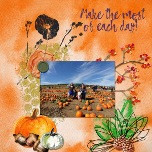 Pumpkin Patch