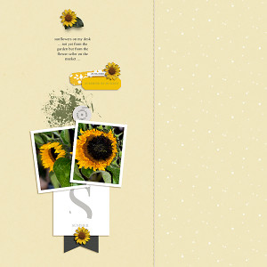 20-06_sahindesigns-jun-temp-copy