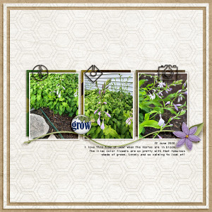 Grow