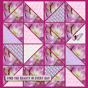 Find The Beauty