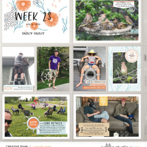 PL2020 - Week 23 | Sahlin Studio