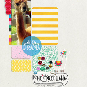 Pink-Reptile-Designs_2020-07_July_SOSN_0701_No-Probllama_web