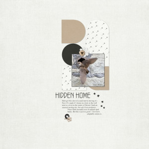 Hidden Home