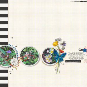 Wildflowers | 2020