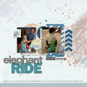 Elephant072020IC