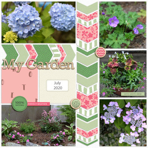 MyGardenJuly2020LPInspirationChallengeWeb