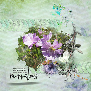 July - Inspiration Challenge