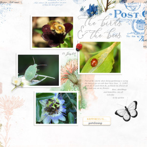 200704_garden