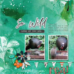 2020-07_July-TLP_Speed-Scrap_0708_web