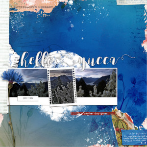 200703_yucca