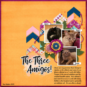 The-Three-Amigo's