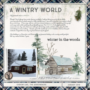 A Wintry World