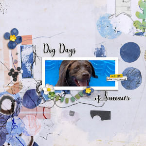 Dog Days of Summer