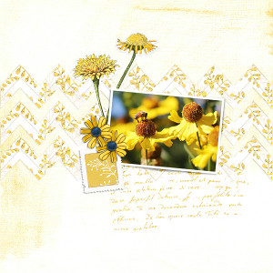 Busy Bee