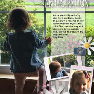 ANTICIPATION