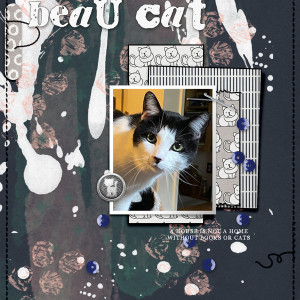 Beau Cat