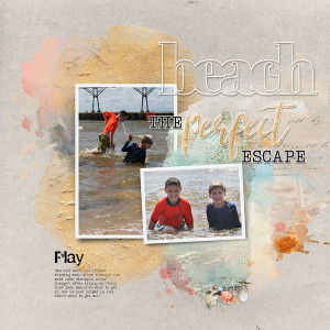 Robin_Sandy-Beaches-Left-TLP