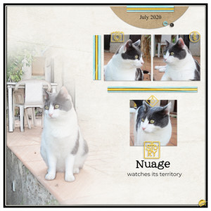 Nuage