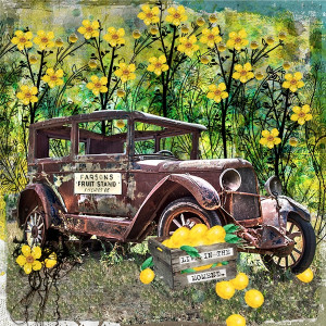 Vintage Lemons