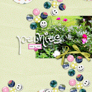 Scrapping-with-Liz_2020-07_July-36_web