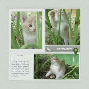 Si mignon