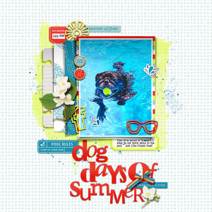 Dog Days of Summer