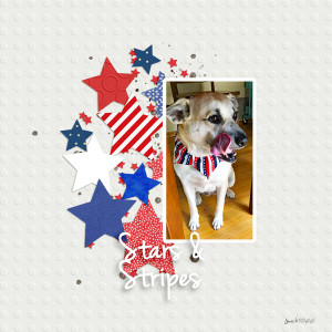 SwL_Stars&Stripes