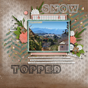 SnowTopped