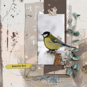 Beautiful Bird