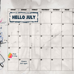 July Calendar View