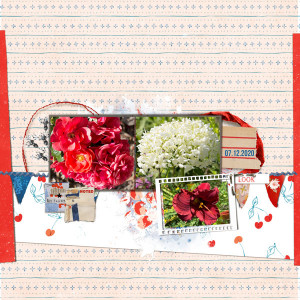 2020_jul_Summer_Flowers