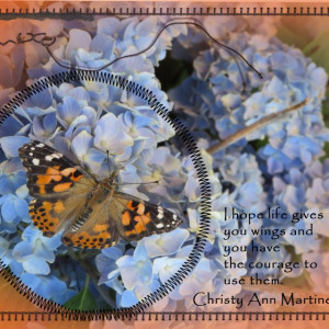 I Hope Life Gives You Wings  Painted Lady Release Day