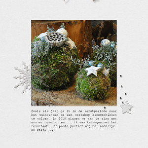 20-07_TLP_CIJ_Soco_DM2019-copy