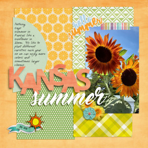 Kansas-summer