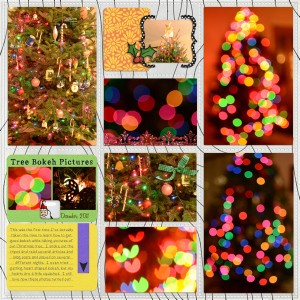 Tree Pictures