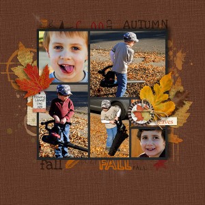 Blowing Leaves
