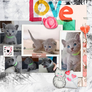 200711_love01
