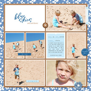 Blue Skies and Sand Dunes 2008