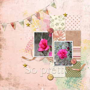 LGrieveson_July-2020-Recipe-Challenge_So-Pretty