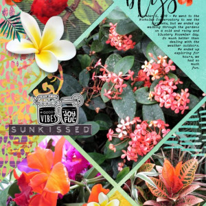 NBK-Design_2020-07_July_SOSN_0722_Tropical-Fusion_EP-JC-31_web