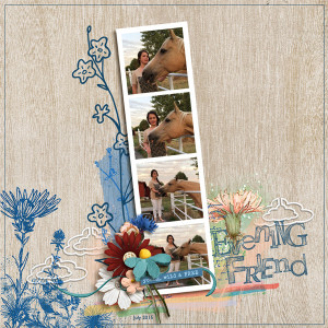 Evening-Friend